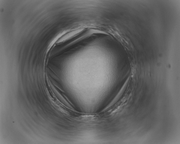 X0000062610052200601181639