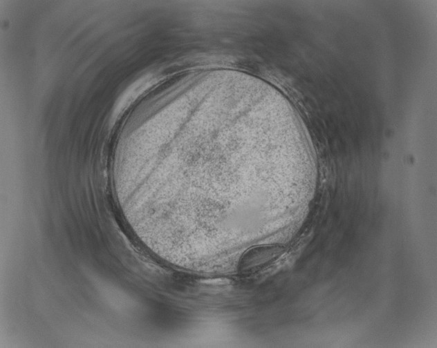 X0000062610053200601181639