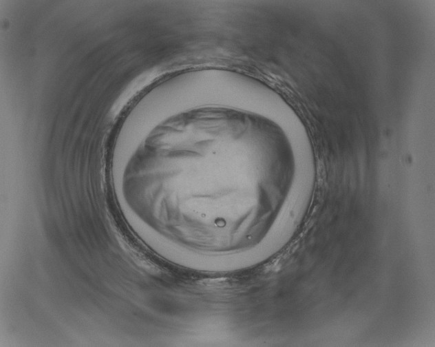 X0000062610054200601181639