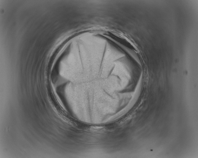 X0000062610055200601181639