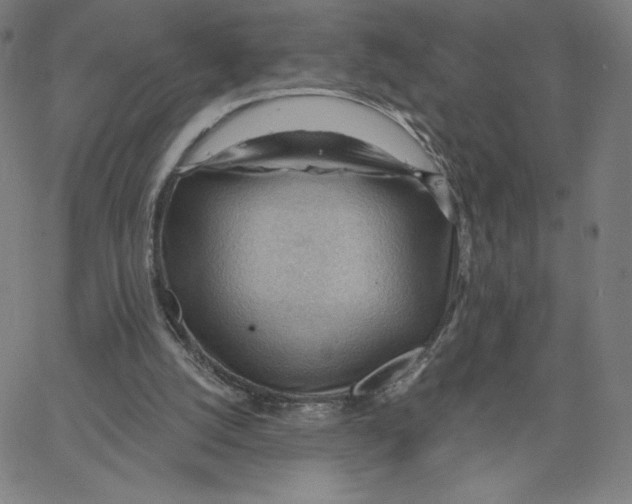 X0000062610056200601181639