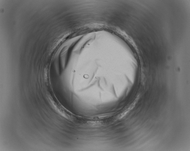 X0000062610057200601181640