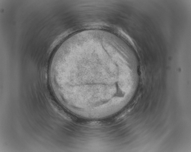 X0000062610059200601181640