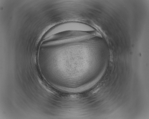 X0000062610060200601181640