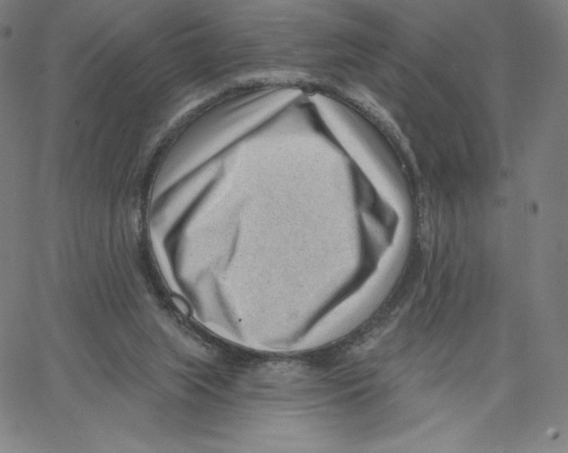 X0000062610063200601181640