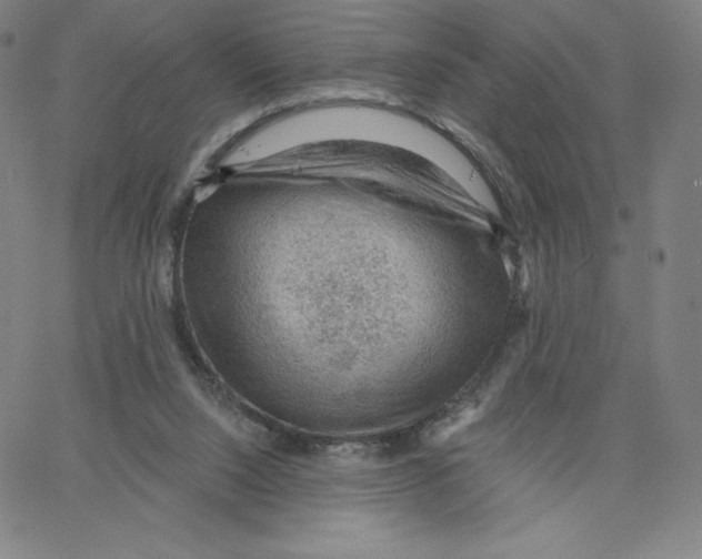 X0000062610064200601181640