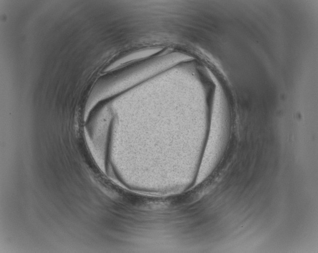 X0000062610065200601181640