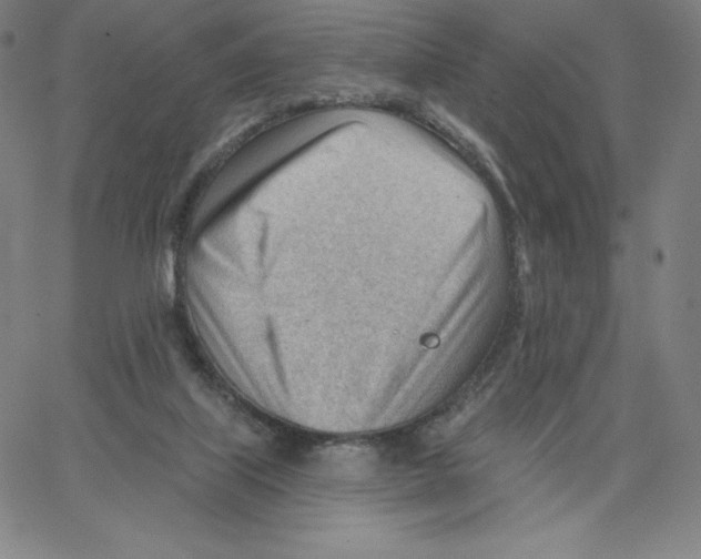 X0000062610067200601181640