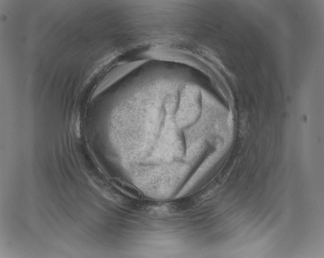 X0000062610068200601181640