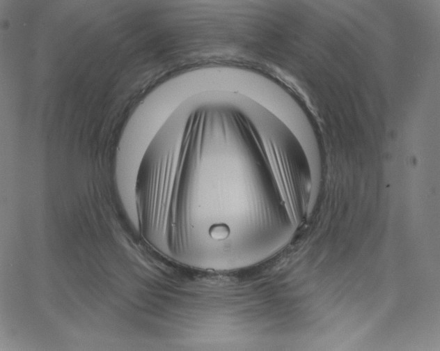 X0000062610069200601181640