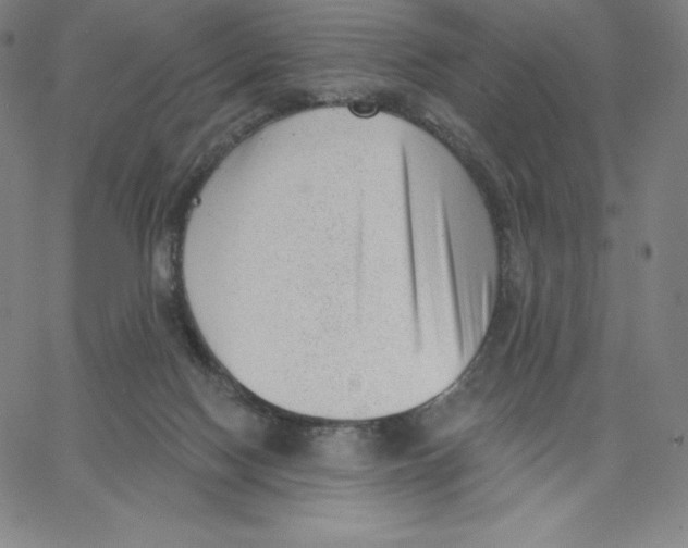 X0000062610074200601181640