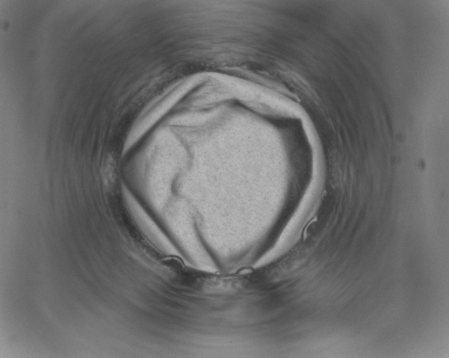 X0000062610077200601181640