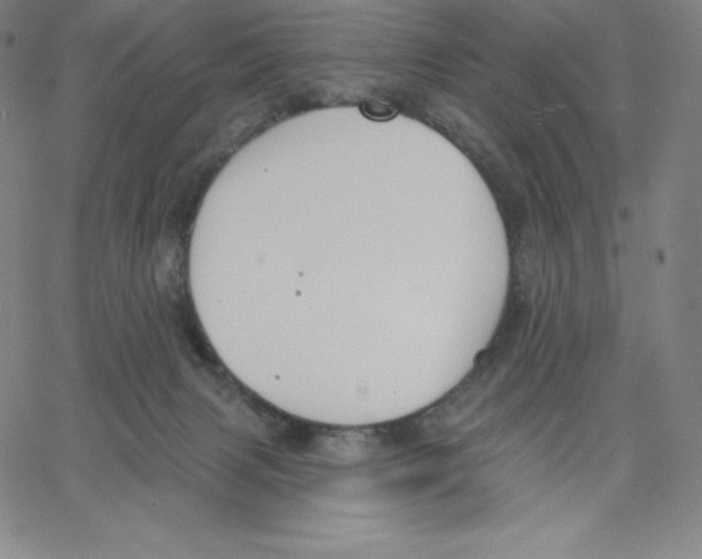 X0000062610079200601181640