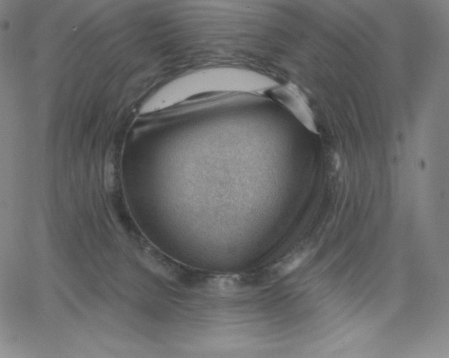 X0000062610080200601181640