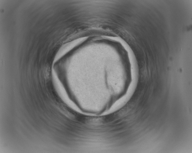 X0000062610081200601181640