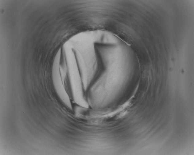 X0000062610084200601181640