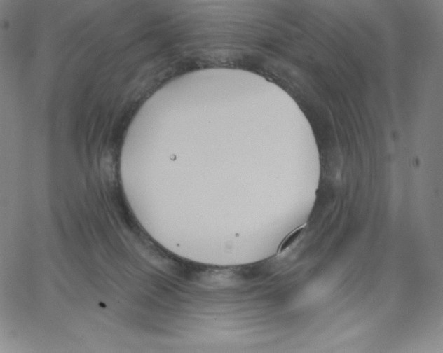 X0000062610086200601181640