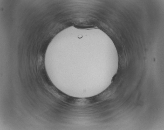 X0000062610087200601181640