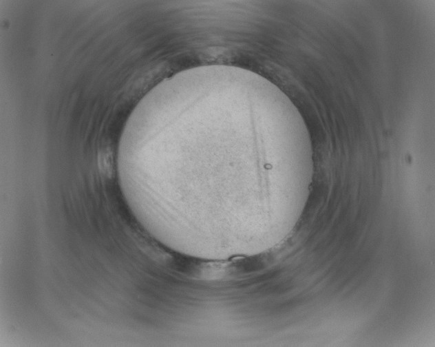 X0000062610090200601181640