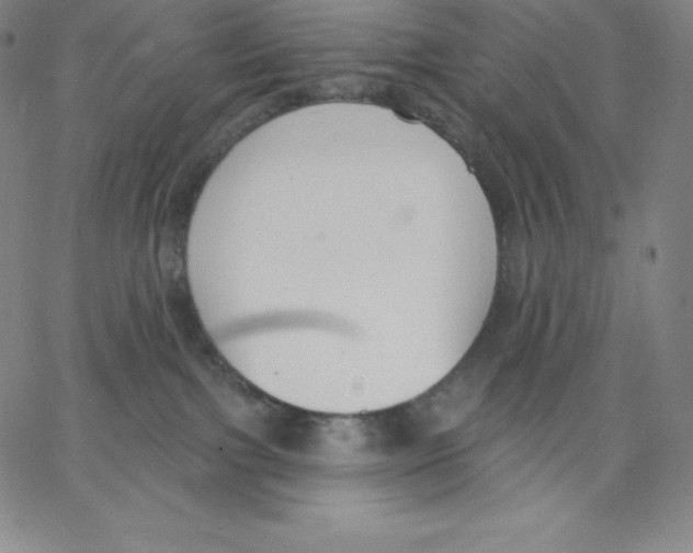 X0000062610091200601181640