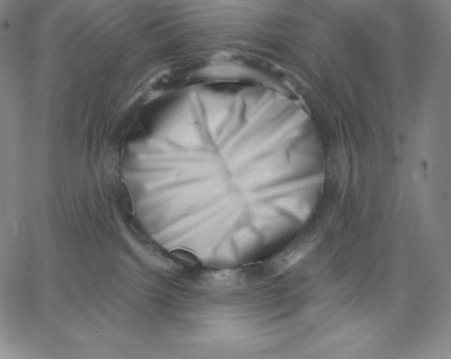 X0000062610092200601181640