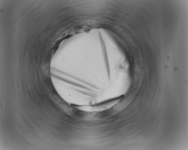 X0000062610096200601181640