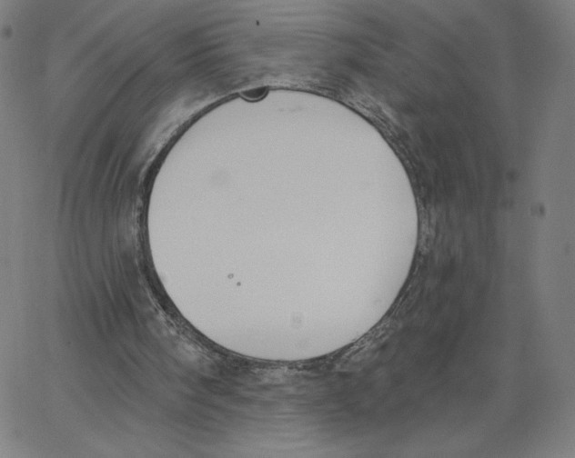 X0000062610098200601181639