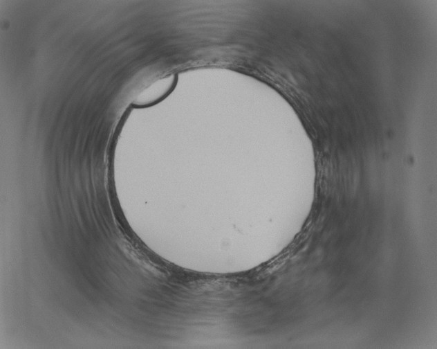 X0000062610100200601181639