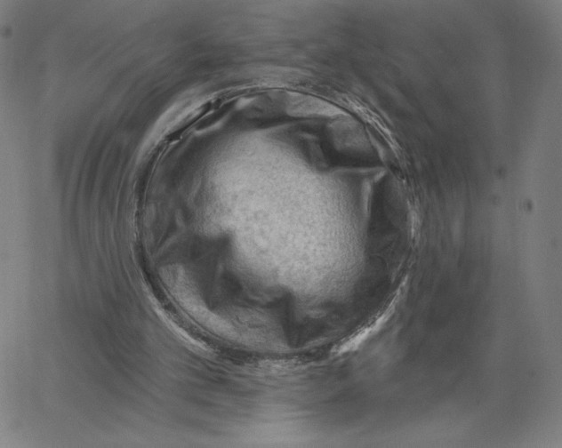 X0000062610101200601181639