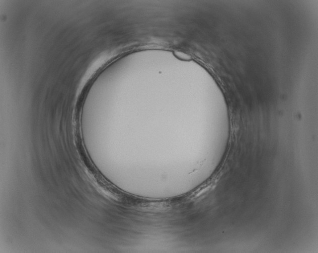 X0000062610102200601181639