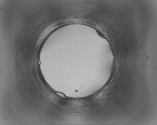 X0000062610103200601181639