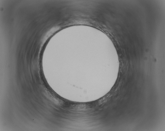 X0000062610104200601181639