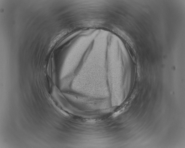 X0000062610105200601181639