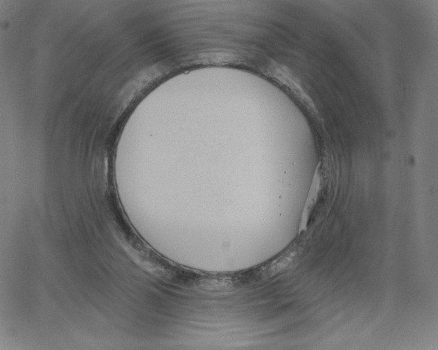 X0000062610110200601181639