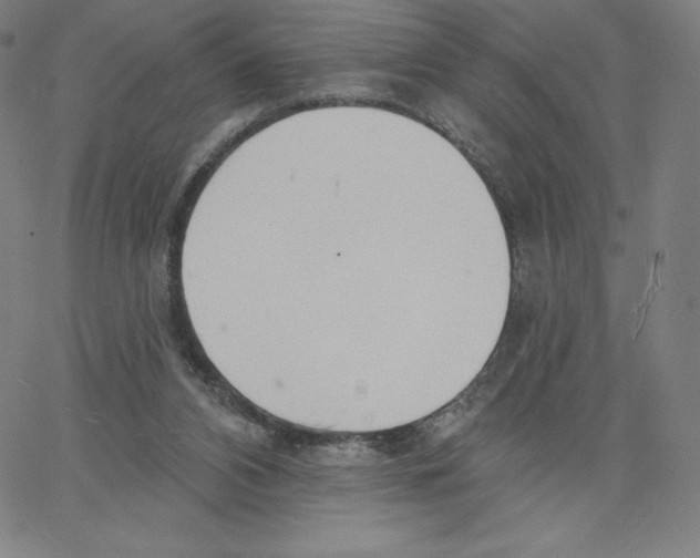 X0000062610112200601181639