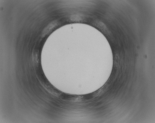 X0000062610116200601181639