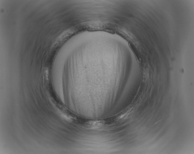 X0000062610117200601181639