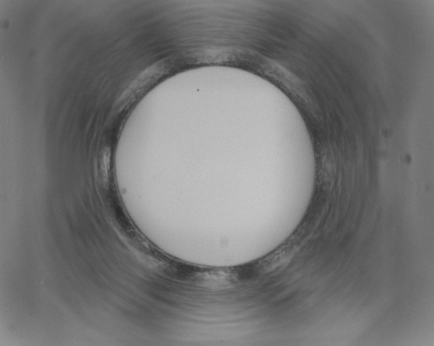 X0000062610118200601181639