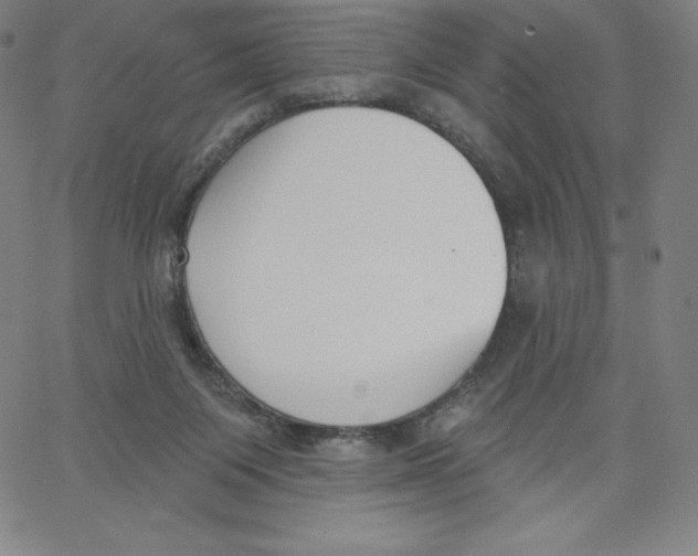 X0000062610119200601181639