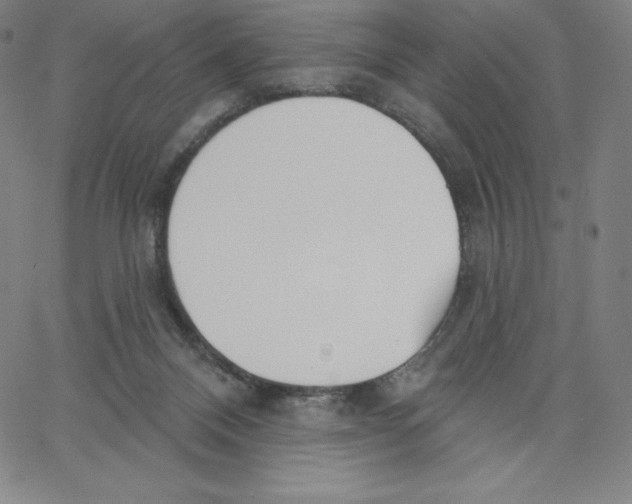 X0000062610120200601181639