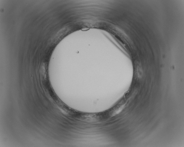 X0000062610121200601181639