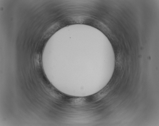 X0000062610122200601181639