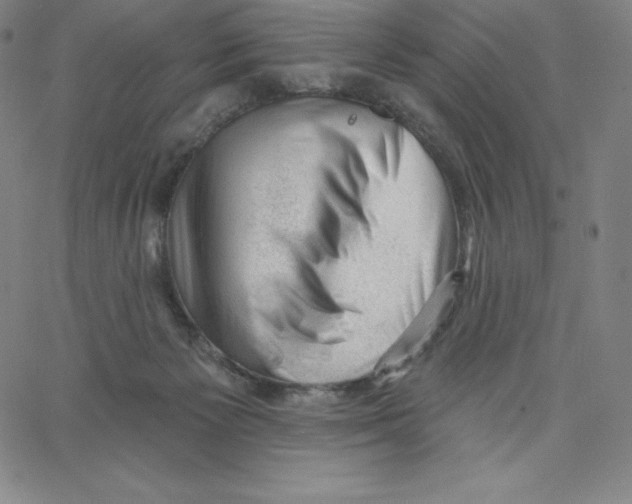 X0000062610125200601181639