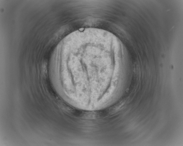 X0000062610127200601181639