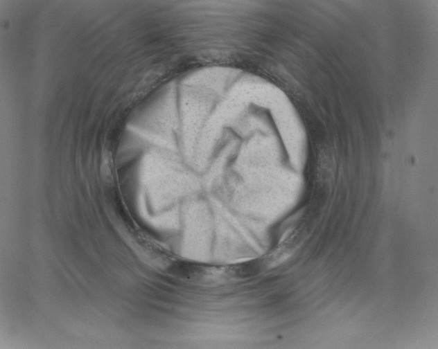 X0000062610130200601181639