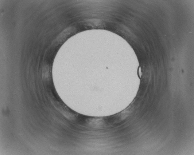 X0000062610132200601181639