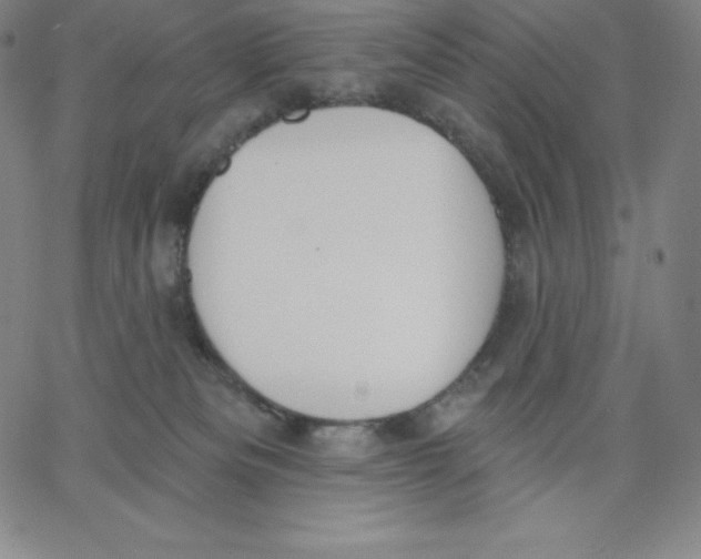 X0000062610133200601181639