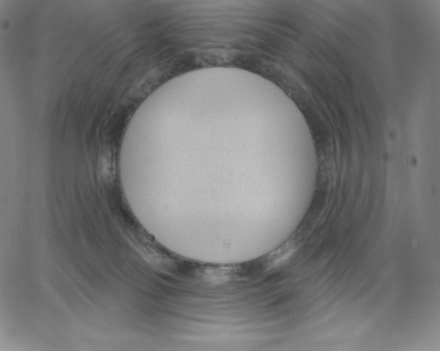 X0000062610134200601181639