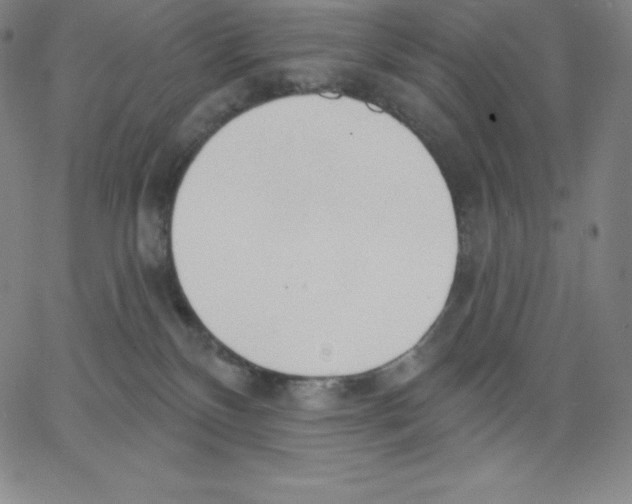 X0000062610136200601181639