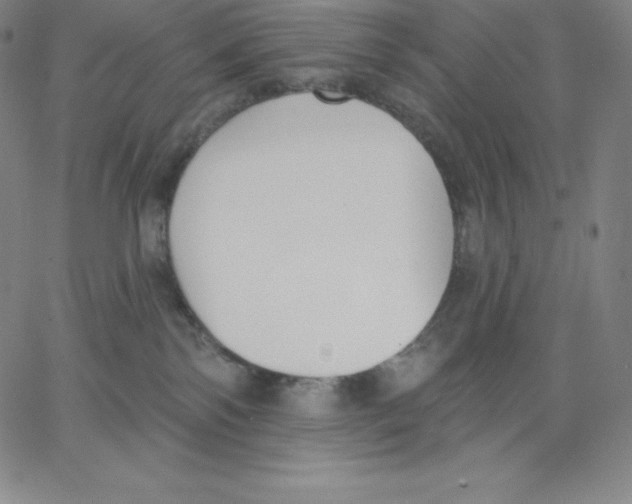 X0000062610138200601181639